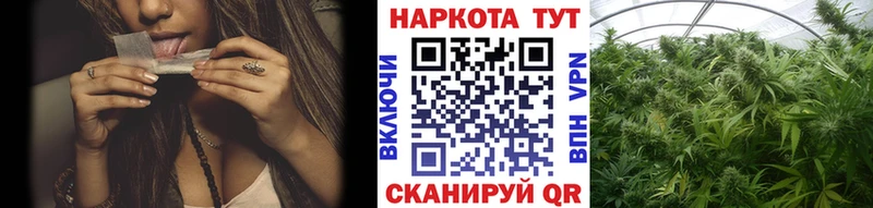 Как найти закладки Кировск APVP Меф мяу мяу hydra Конопля ТГК
