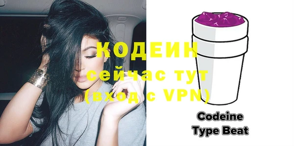 молекула духа Няндома