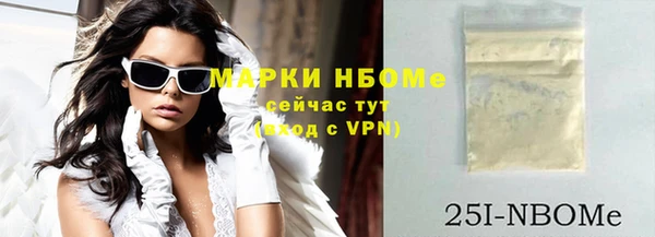 молекула духа Няндома