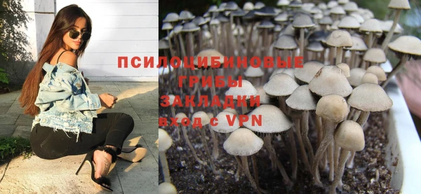 эйфоретик Осинники