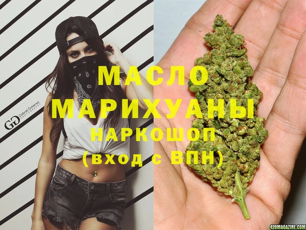 молекула духа Няндома