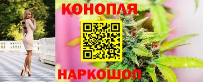 гашик Берёзовский