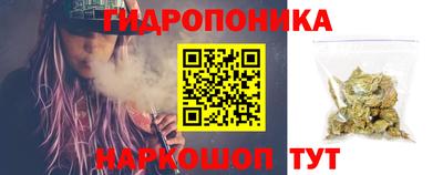 гашик Берёзовский