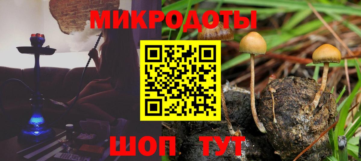 Псилоцибиновые грибы MAGIC MUSHROOMS  Галлюциногенные грибы Magic Shrooms  Вход с VPN  Кировск 