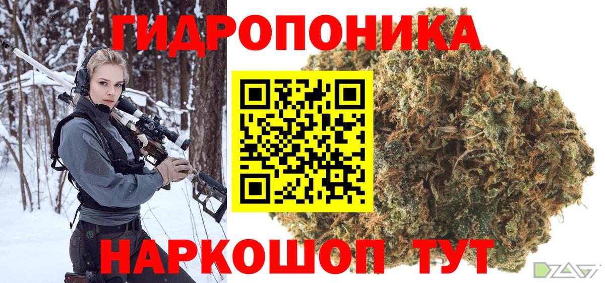 Конопля OG Kush Кировск